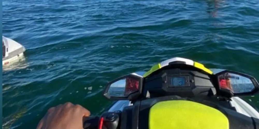 Imagem do grupo de WhatsApp •WEB AMIGOS 🤖