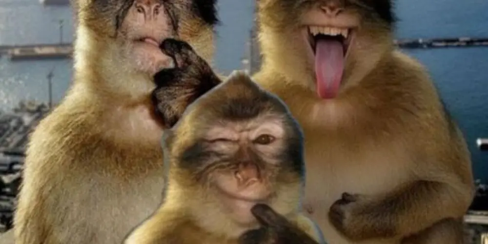 Imagem do grupo de WhatsApp WEB AMIGOS