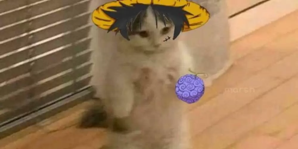 Imagem do grupo de WhatsApp Web amigos doidos ❤️