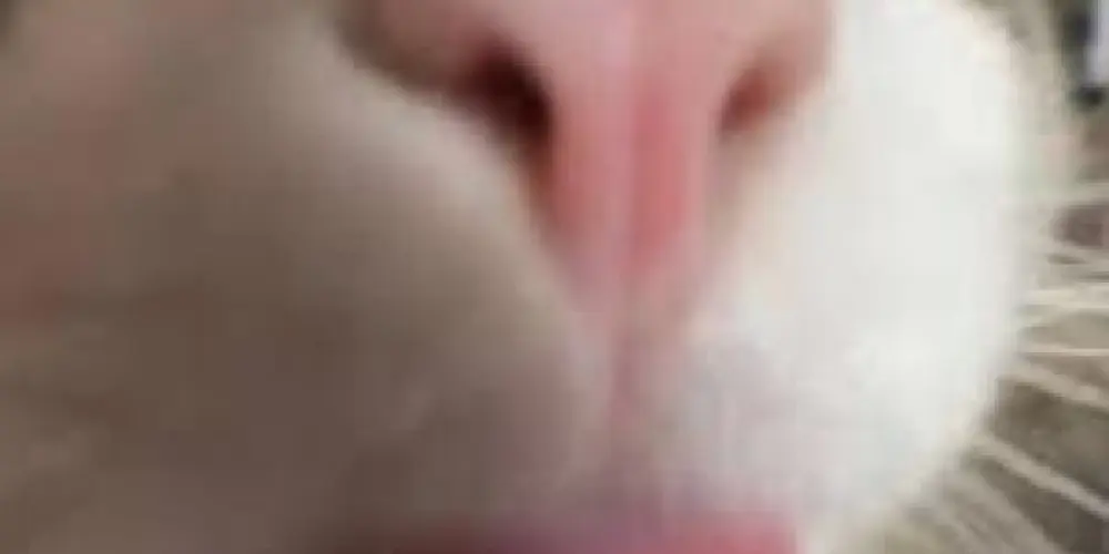 Imagem do grupo de WhatsApp 🌈✨wəb amizadə✨🌈