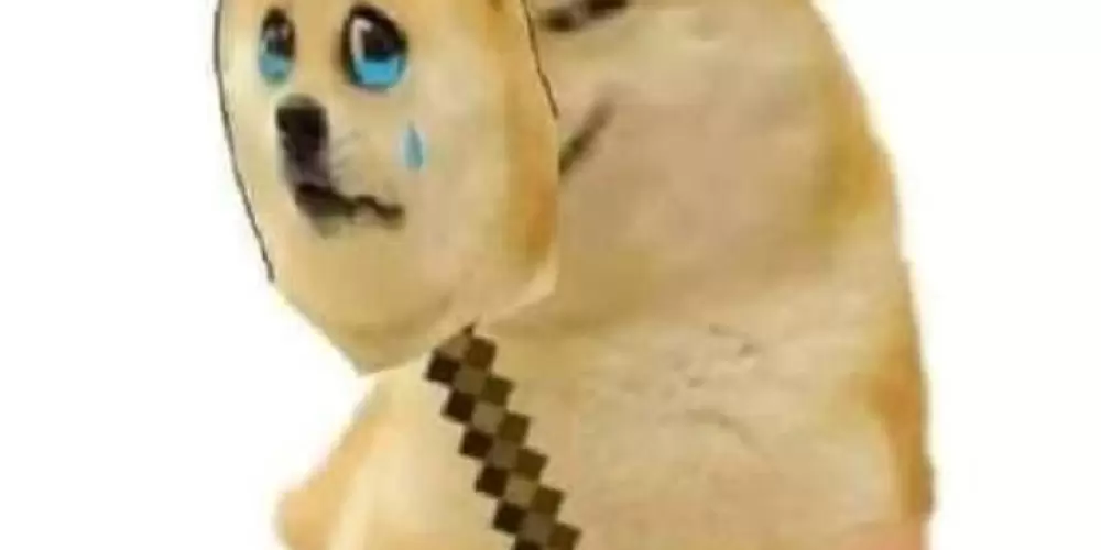 Imagem do grupo de WhatsApp ° Web amizades °