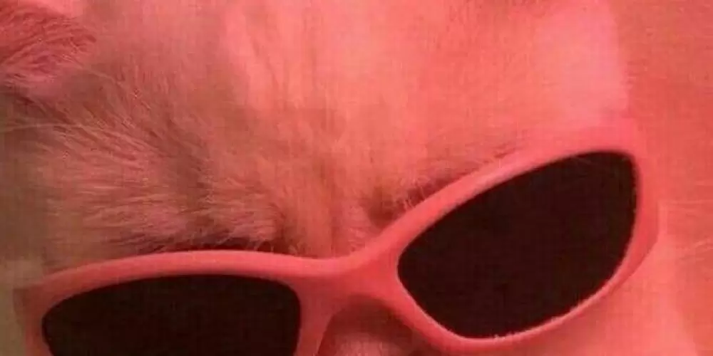 Imagem do grupo de WhatsApp 🎭 Web Chat 👑