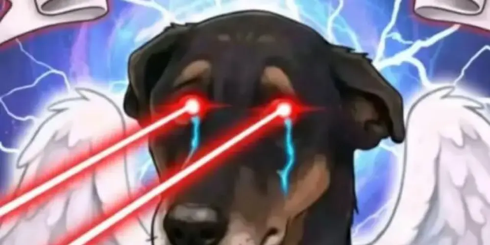 Imagem do grupo de WhatsApp Web Dogs