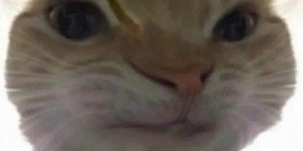 Imagem do grupo de WhatsApp WEB DOS MALUCOS 😇