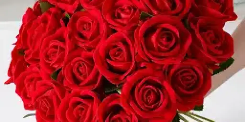 Imagem do grupo de WhatsApp Web Family Friends