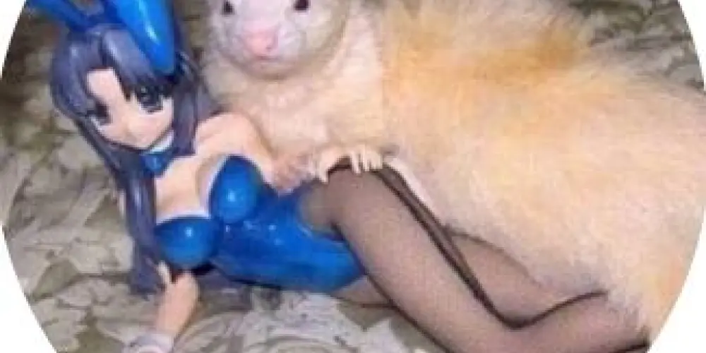 Imagem do grupo de WhatsApp 😈_ Web Friends _🤡