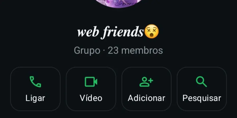 Imagem do grupo de WhatsApp Web friends