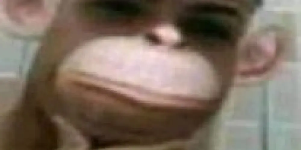 Imagem do grupo de WhatsApp Web friends