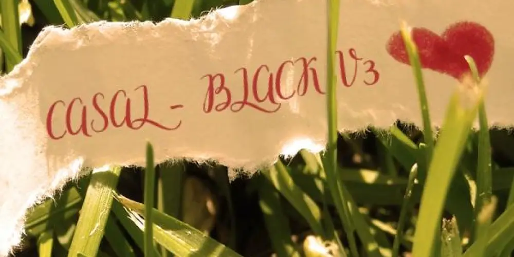 Imagem do grupo de WhatsApp 💙🩵🤗₩ƏƁ Ŋ@MØŘØ🤗🩵💙