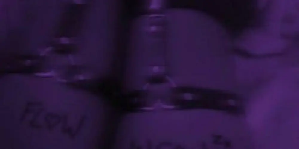 Imagem do grupo de WhatsApp 🎀Web Namoro🎀