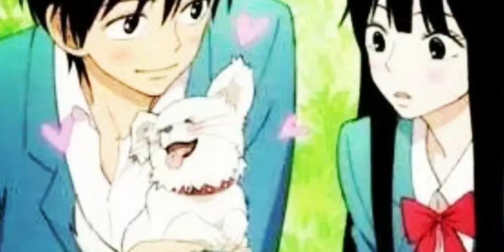 Imagem do grupo de WhatsApp web namoro