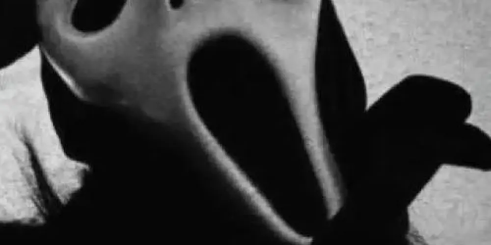 Imagem do grupo de WhatsApp wEbCaPs 🤪