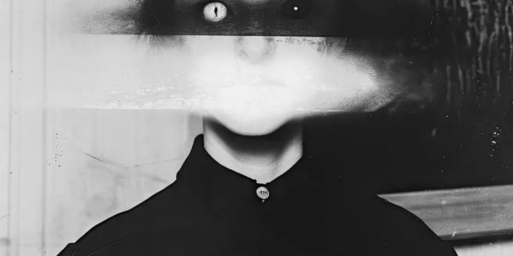 Imagem do grupo de WhatsApp webdogs