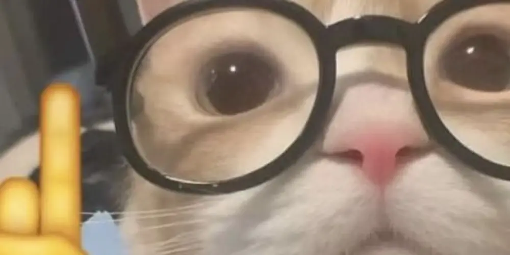 Imagem do grupo de WhatsApp webfamilia