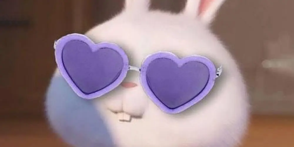 Imagem do grupo de WhatsApp 🫂 Webfriends 👥