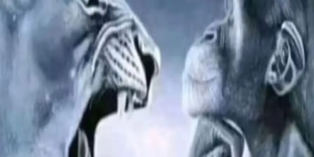 Imagem do grupo de WhatsApp WebPsycho's