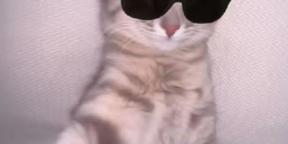 Imagem do grupo de WhatsApp Webs amizades