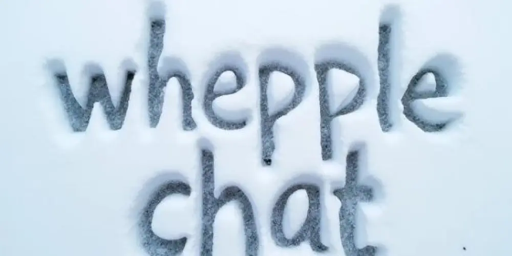 Imagem do grupo de WhatsApp  Whepple chat 💬