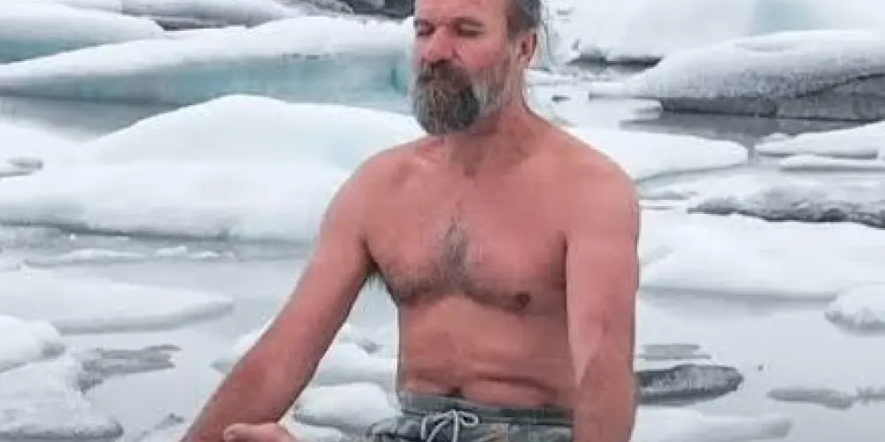 Imagem do grupo de WhatsApp ❄️WIM HOF❄️