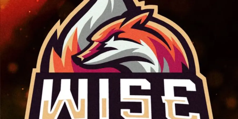 Imagem do grupo de WhatsApp WISE SPORT