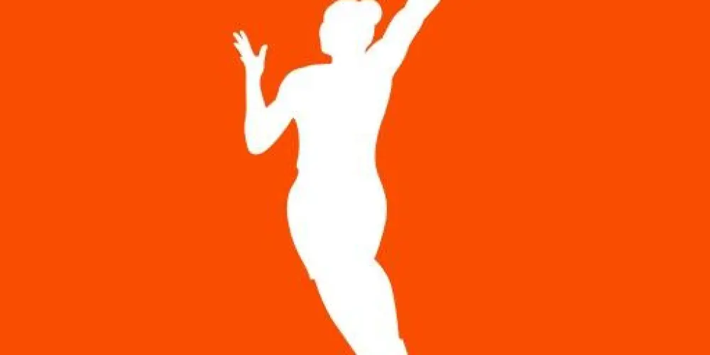 Imagem do grupo de WhatsApp WNBA news