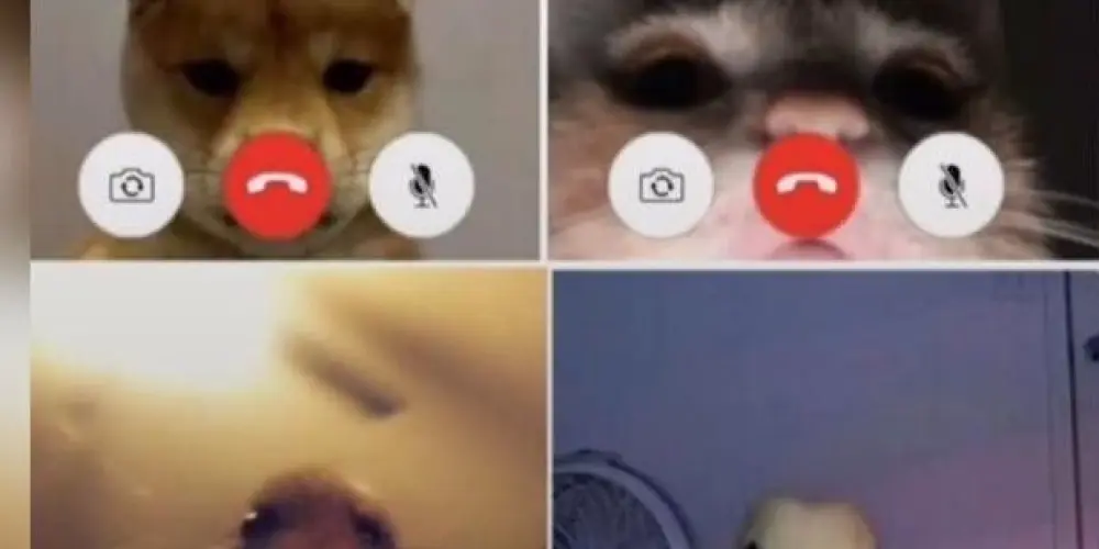 Imagem do grupo de WhatsApp ✨𝐒𝐭𝐮𝐝𝐢𝐨𝐮𝐬 World acadêmico ✨📚