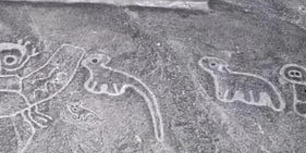 Imagem do grupo de WhatsApp 💥WORLD DARK💥