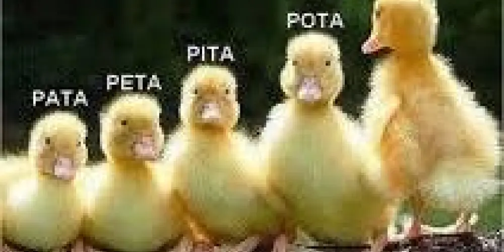 Imagem do grupo de WhatsApp 🤓WORLD OF NERDS🤓