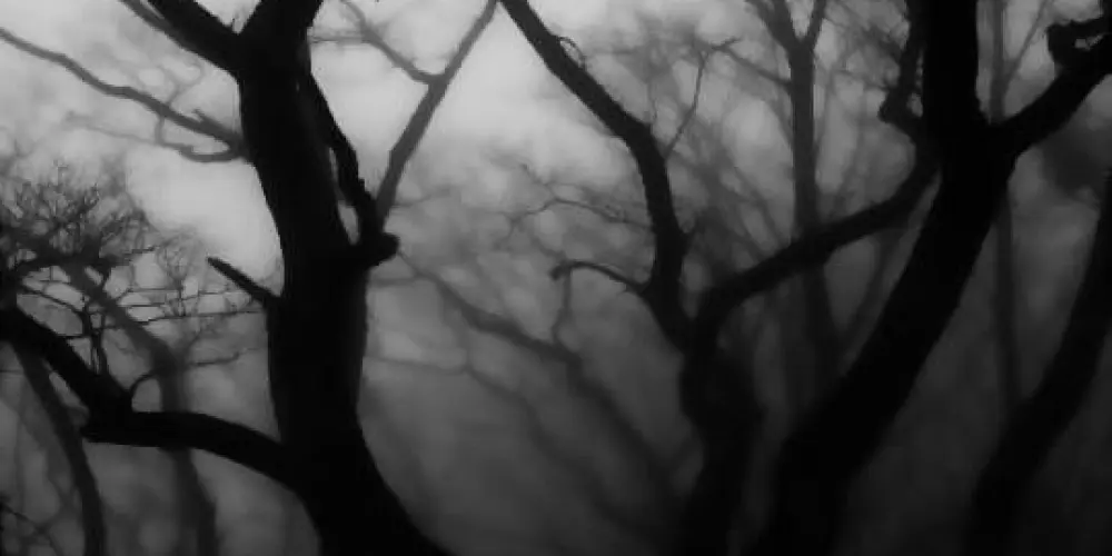 Imagem do grupo de WhatsApp ᴄᴏɴᴠᴇʀꜱᴀꜱ ꜱᴇᴍ ᴄᴏɴᴛᴇxᴛᴏ | 💥