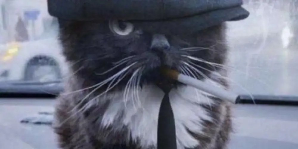 Imagem do grupo de WhatsApp X BLACK XIT ATÉ NA ALMA 👻👻👺👺