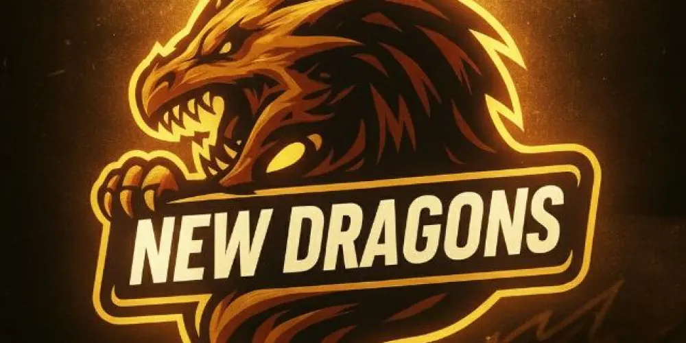 Imagem do grupo de WhatsApp X treino -New dragons