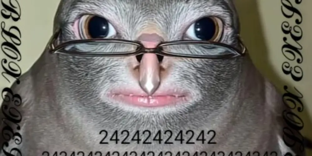 Imagem do grupo de WhatsApp 𝕽𝙾𝙱𝙻𝙾x 𝙴𝔛𝙴𝚂𝚂𝙸V