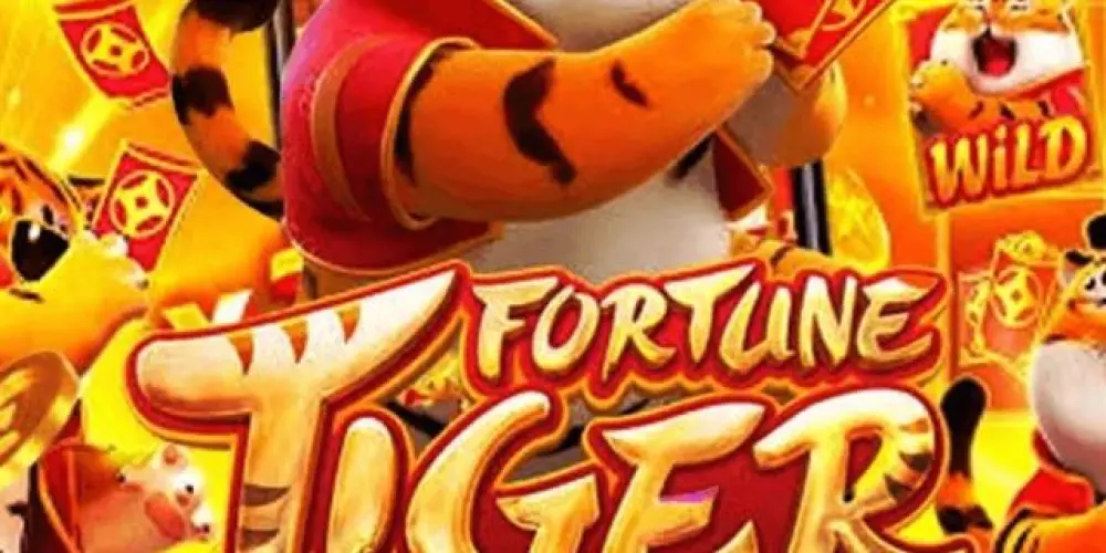 Imagem do grupo de WhatsApp X4mp$ links 2 🎰