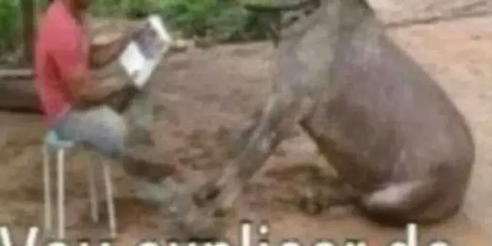 Imagem do grupo de WhatsApp Xitpuzy 67.0