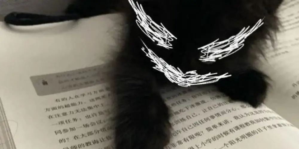 Imagem do grupo de WhatsApp XNPZ 7