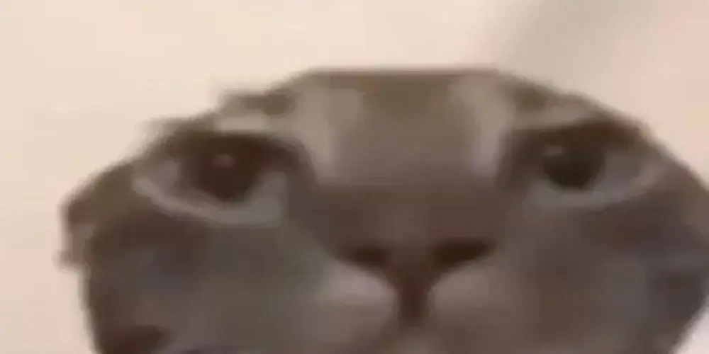 Imagem do grupo de WhatsApp Xoxotos