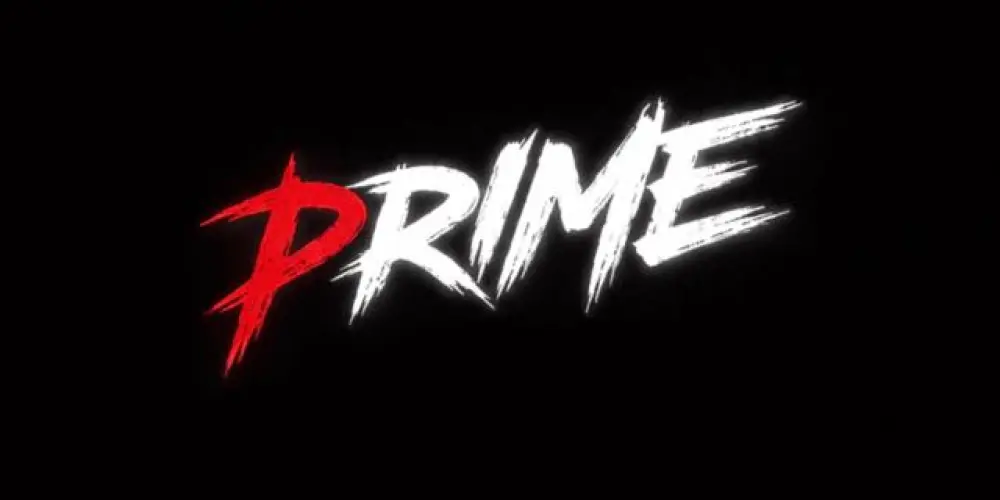 Imagem do grupo de WhatsApp XTREINO PRIME