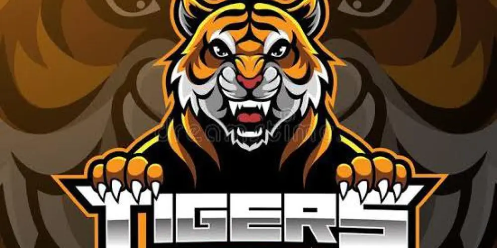 Imagem do grupo de WhatsApp XTREINO TIGRERS