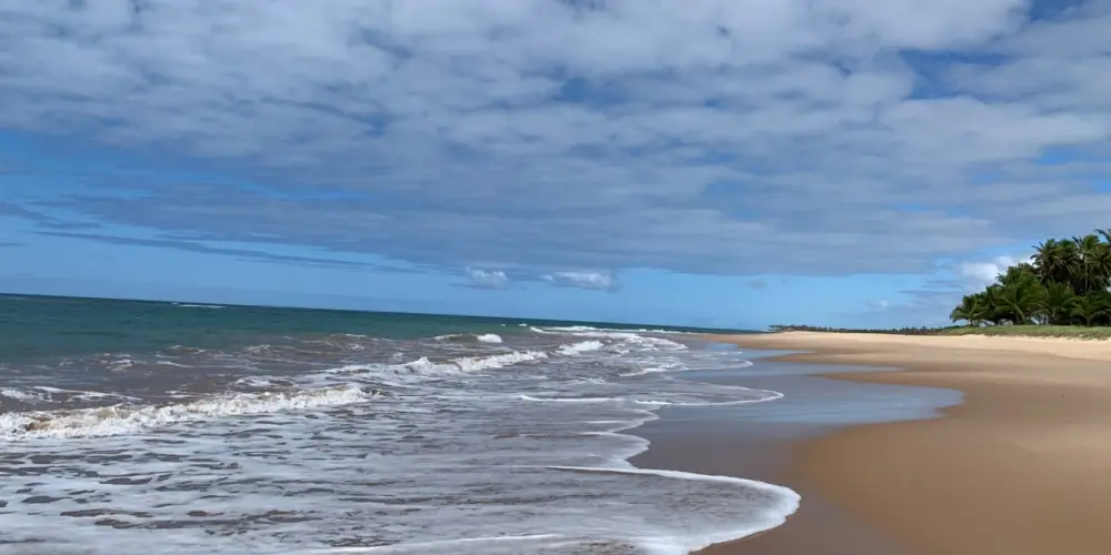 Imagem do grupo de WhatsApp ᴾᴬᴿᴬᴵˢᴼ ᴰᴬ yαɴɴα 🏝️