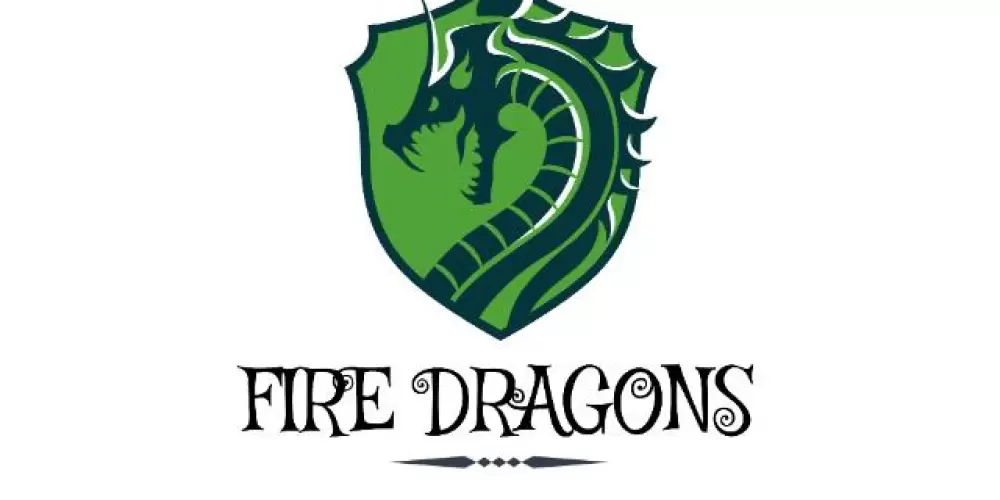 Imagem do grupo de WhatsApp ¥ F|R€ DRÅG¤N$