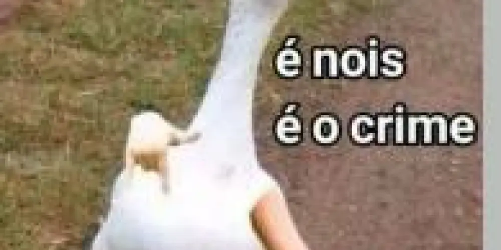 Imagem do grupo de WhatsApp 🇧🇷¥ INFINITE CONVERSATION ¥🇧🇷