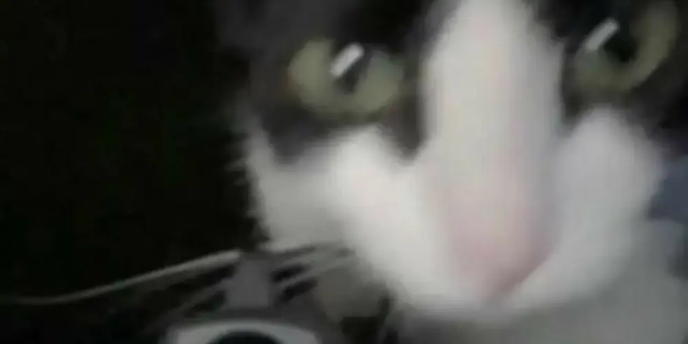 Imagem do grupo de WhatsApp ymy- seja vc msm