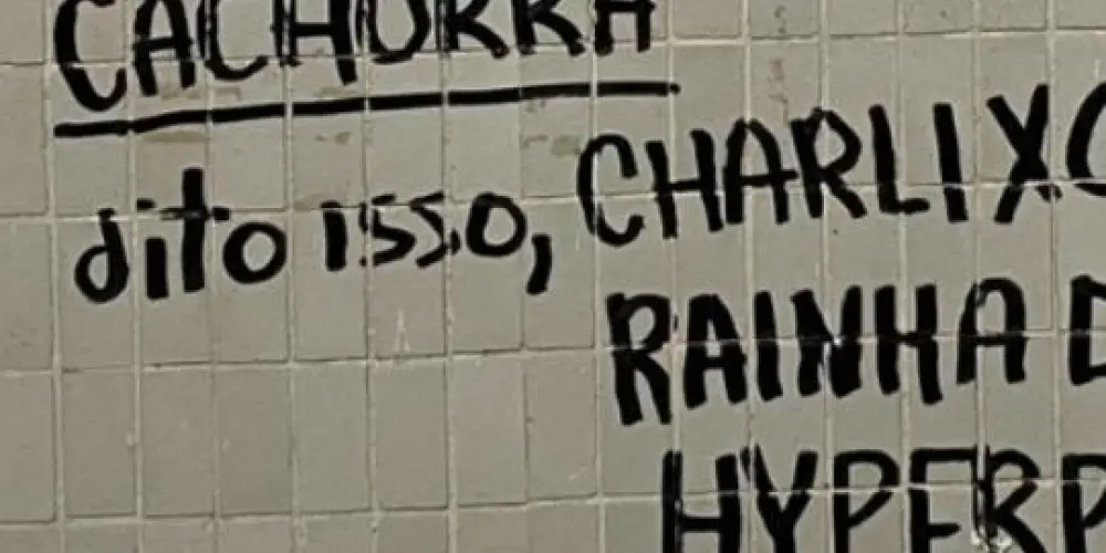 Imagem do grupo de WhatsApp YOTRA 🏳️‍🌈