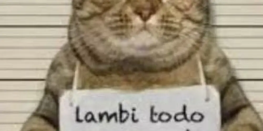 Imagem do grupo de WhatsApp Young💔Unite