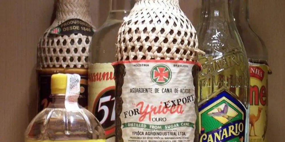 Imagem do grupo de WhatsApp Zero álcool🍺🍺🥃🥴