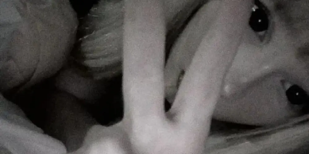 Imagem do grupo de WhatsApp Zero paciência#