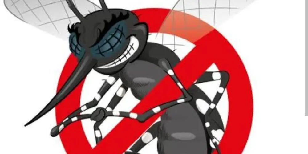 Imagem do grupo de WhatsApp Zika Zírus 💯🔥