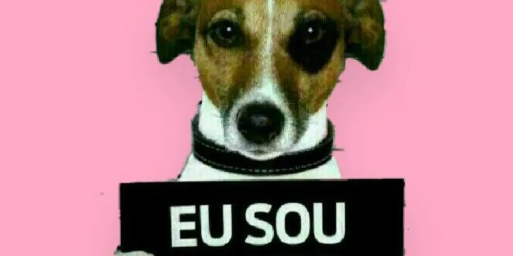 Imagem do grupo de WhatsApp 🙃Zoação 24hrs 🙃