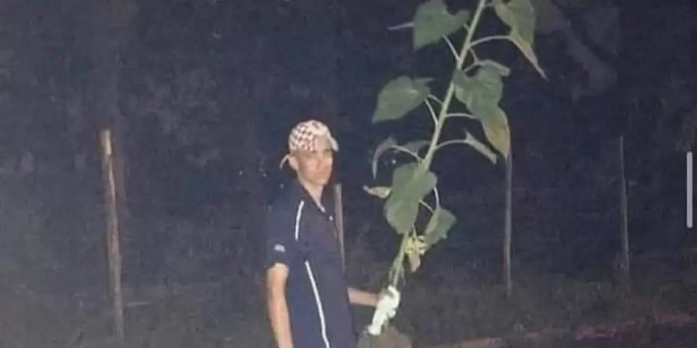 Imagem do grupo de WhatsApp Zoeira e amizade