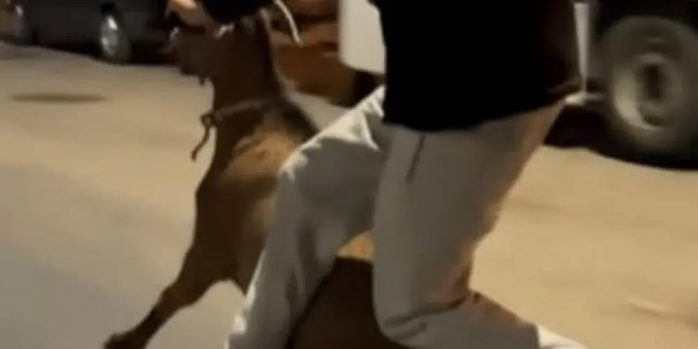 Imagem do grupo de WhatsApp Zoeira extrema